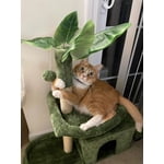 Image 5 of customer photos