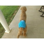 Image 7 of customer photos