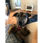 Image 2 of customer photos