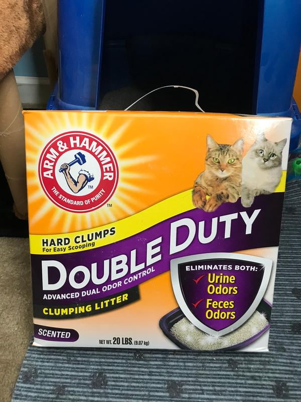 walmart double duty cat litter