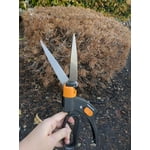 Image 6 of customer photos