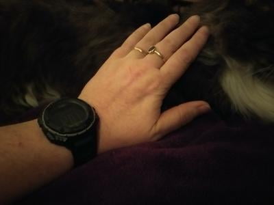 timex expedition shock xl watch