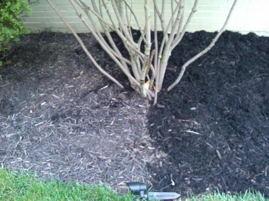 Scotts Nature Scapes Color Enhanced Mulch Clic Black 2 Cu Ft Scotts Nature Scapes Color Enhanced Mulch Clic Black 2 Cu Ft