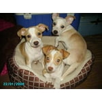 Image 5 of customer photos