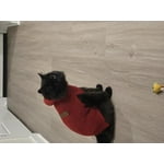 Image 3 of customer photos