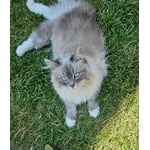 Image 4 of customer photos