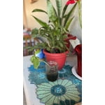 Image 2 of customer photos