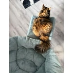 Image 5 of customer photos