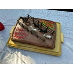 Image 5 of customer photos