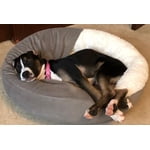 Image 4 of customer photos