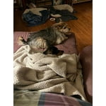 Image 6 of customer photos