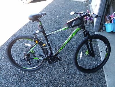 schwinn boundary specs