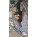 Image 2 of customer photos