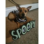 Image 4 of customer photos