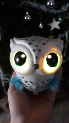 toy owl you teach to fly