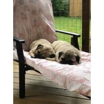 Image 6 of customer photos