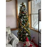 Image 4 of customer photos