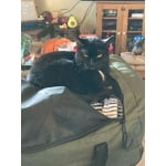 Image 6 of customer photos