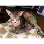 Image 2 of customer photos