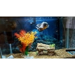 Image 7 of customer photos