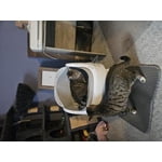 Image 2 of customer photos