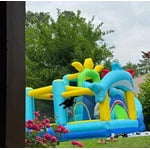 Image 1 of customer photos