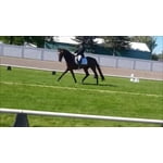 Image 3 of customer photos