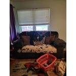 Image 1 of customer photos