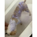 Image 5 of customer photos