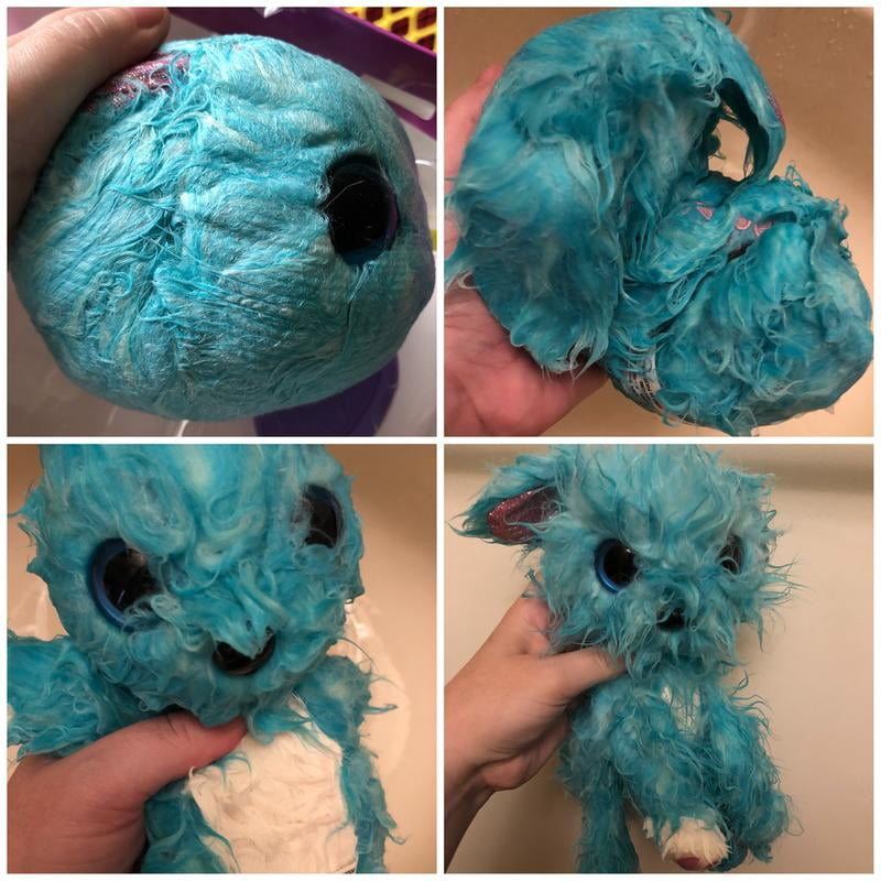 scruff a luv blue dog