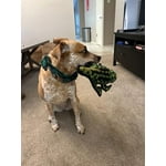 Image 7 of customer photos