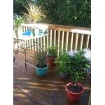 Image 7 of customer photos