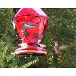 Image 5 of customer photos