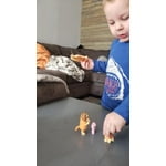 Image 5 of customer photos