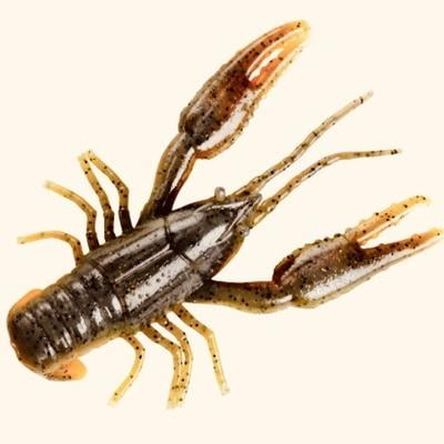 YUM 31 pièces CRAWBUG Kit : Assortiment de crawbugs/têtes de gabarit