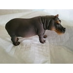 Image 3 of customer photos