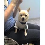 Image 4 of customer photos