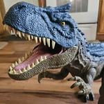 Image 5 of customer photos