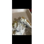 Imagen 5 de las fotos del cliente