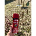 Image 5 of customer photos