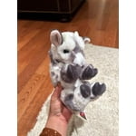 Image 2 of customer photos