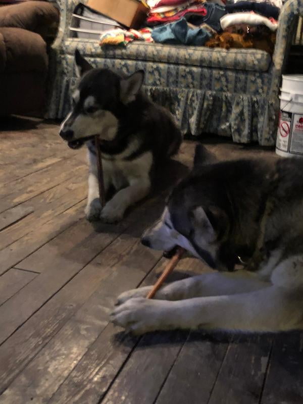 cadet bully sticks walmart