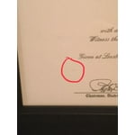 Image 2 of customer photos