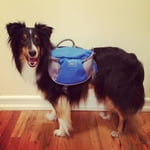 Image 4 of customer photos