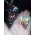 Image 1 of customer photos