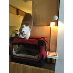 Image 3 of customer photos