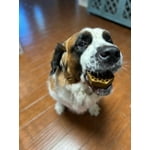 Image 4 of customer photos