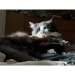 Image 2 of customer photos