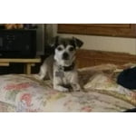 Image 6 of customer photos