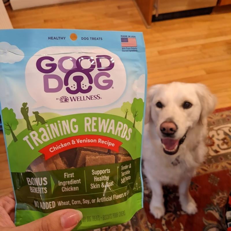 Good Dog By Wellness Training Rewards Soft Treats for Dogs Chicken